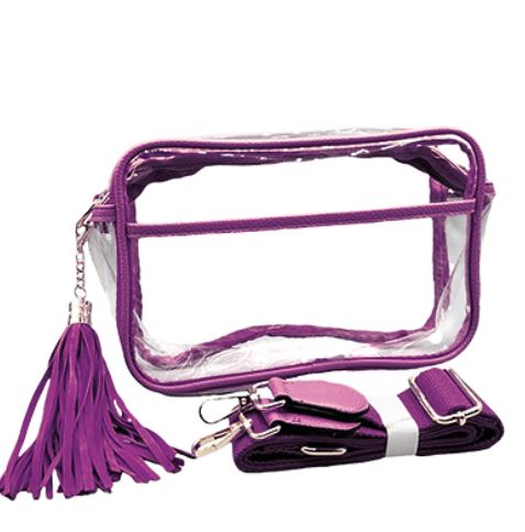 Color Trim Clear Rectangle Crossbody Bag