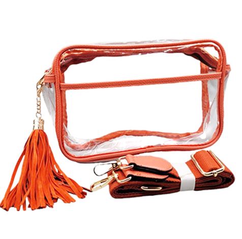 Color Trim Clear Rectangle Crossbody Bag
